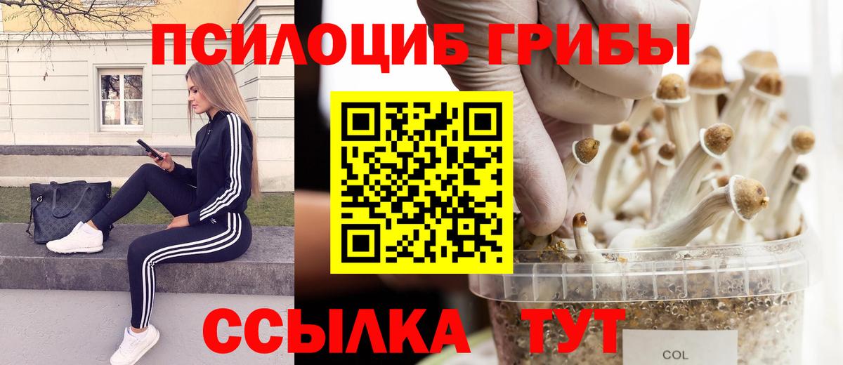 Галлюциногенные грибы прущие грибы  Вход с VPN  Верхняя Салда  Галлюциногенные грибы Magic Shrooms 